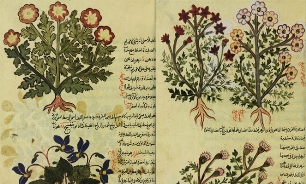 نمايشگاه گياهان شفابخش بر اساس طب سنتي ايراني- اسلامي