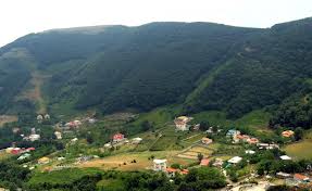 طبیعتی دیدنی که از چشم بشر دور مانده است
