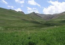 پرداخت بیش از 8 میلیارد ریال مطالبات چایکاران مازندران