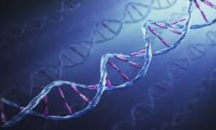با DNA خودتان حرف بزنيد و به خواسته هایتان برسید!