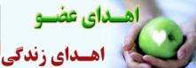 اعضای یک نوجوان مرگ مغزی  به سه بیمار اهداء شد