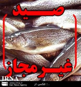 دستگیری 34 شکارچی متخلف در کردستان