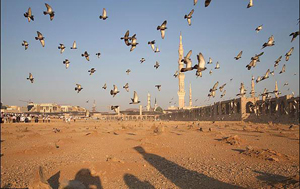 ايرانيان۹۰ درصد بازسازي و ساخت و سازهاي عتبات عاليات در عراق را بر عهده دارند