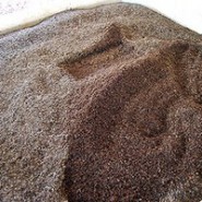 همکاری کرم خاکی در کاهش زباله روستاهای گیلان