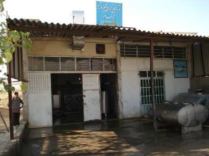 توليدسالانه ۲۲۶ هزار تن شير در استان كردستان