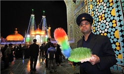 خدمت در جوار خواهر خورشید هشتم