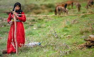 آغاز کوچ عشایر به مناطق قشلاقی قصرشیرین