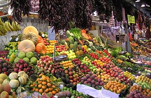 اعطای گواهی ارگانیک از شرکت معتبر بین المللی به محصولات کشاورزی فارس