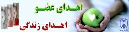 اهدای اعضای بیش از 50 درصد بیماران مرگ مغزی