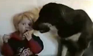 سگ گرسنه + فیلم