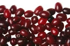 زغال اخته کوچک اما پر فایده