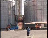 خرید 80 درصد گندم كشاورزان ديواندره