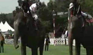 مسابقات چوگان با فيل‌ها + فیلم