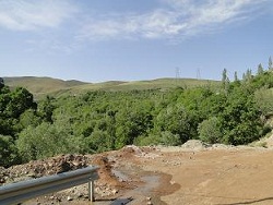 441  تن سیب به تولید دماوند اضافه می ‏شود