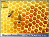 تولید هزار و 144 تن عسل در کردستان