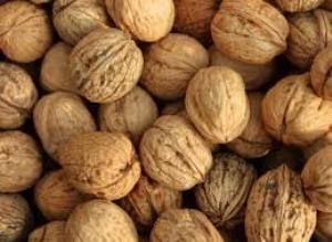 صادرات 70 درصد گردوی فارس