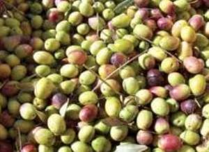 با استفاده از پودری به نام کائولین