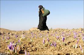 در جشنواره ملي زنان روستايي در تهران