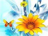 اعیاد اسلامی در تقویم آمریکایی