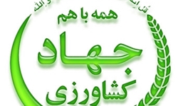 74 هزار هکتار اراضی استان زیر پوشش شبکه نظارت / تولید محصول پاک و ارگانیک در اولویت