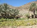 منطقه گرگان نيكشهر چشم انتظار گردشگران داخلی و خارجی