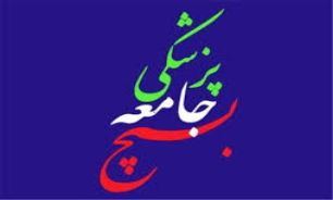 بسیجیان جامعه پزشکی همراه با هم صعود میکنند.