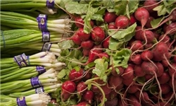 بازار روز کوثر 5 به بهره‎برداری رسید