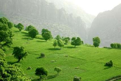 6 متعرض به محيط زيست در بهمئي دستگير شدند