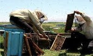 ارائه تسهیلات به زنبورداران خوی