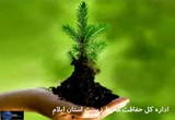 توان تشكل هاي غير دولتي در حفاظت از منابع طبيعي بايد بكارگيري شود‏