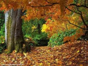 چگونه در فصل پاییز از پوست خود مراقبت کنیم