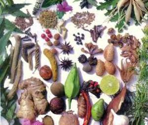 صادرات 10 میلیون دلاری گیاهان صنعتی و دارویی از فارس
