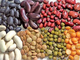 تولیدچهار هزار نوع ماده غذایی در مازندران
