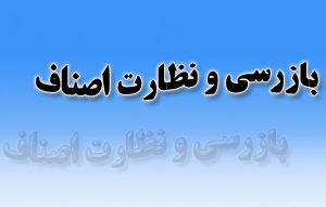 رشد 42 درصدی حجم نظارت و بازرسی بر اصناف در فارس