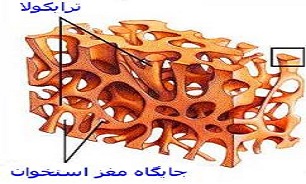 پوکی استخوان ،بیماری خاموش