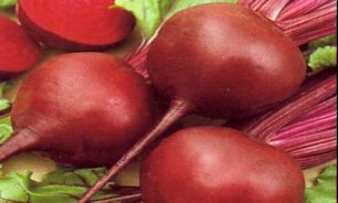 بهترين خوراكي براي مادران باردار