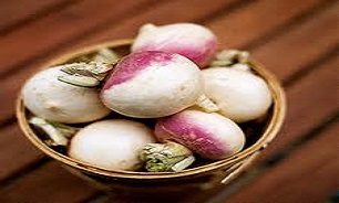 همه چیز درباره شلغم