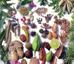 کلکسیونی از گیاهان دارویی کره خاکی در خاک همدان