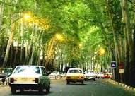 طرح جدید شناسنامه دار کردن درختان منطقه 11 آغاز شد