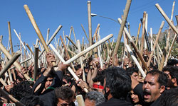 آیین سنتی مذهبی قالیشویان در مشهد اردهال کاشان برگزار می شود