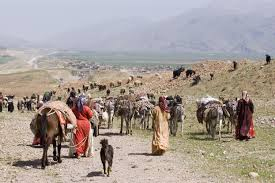 آغاز کوچ قشلاقی 120 نفر از عشایر دومین استان عشایر نشین کشور