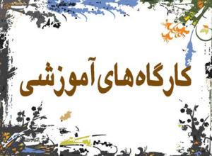 برگزاری کارگاه سازمان بین المللی مهاجرت در شیراز