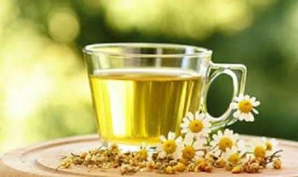 بيماران ازمصرف جوشانده هاي گياهي همراه با داروهاي شيميايي پرهيز كنند