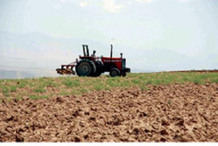 پیش بینی بارندگی کشاورزان رانسبت به کشت پاییزی امیدوار کرد