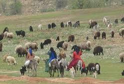 عشایر از سکونت در حاشیه رودخانه ها خودداری کنند