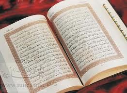 طرح ملی مهارت قرآن در 16 استان کشور پیگیری می شود