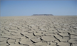 برگزاری نخستین کنگره سراسری شعر هامون