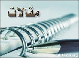 استادمیبدی ،دانشمندجوان سال 2013 شد