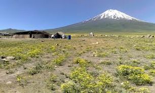 بیش از 3 میلیارد ریال برای احیای بورآلان ماکو تزریق خواهد شد