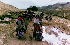 احیای مراتع بازفت شهرستان کوهرنگ